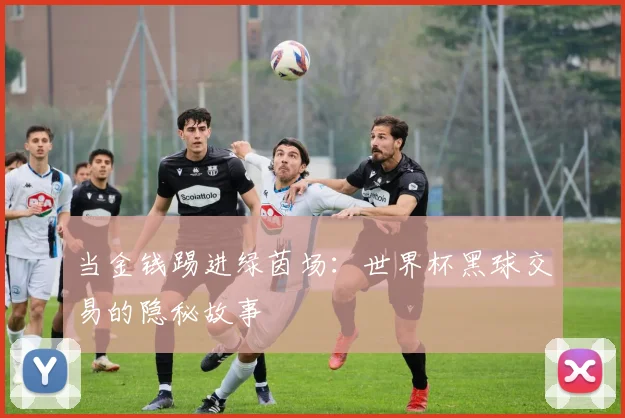 当金钱踢进绿茵场：世界杯黑球交易的隐秘故事