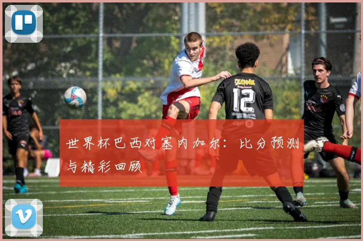 世界杯巴西对塞内加尔：比分预测与精彩回顾