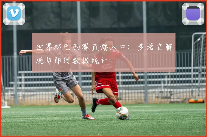世界杯巴西赛直播入口：多语言解说与即时数据统计