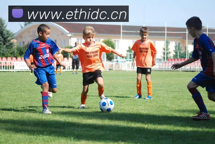 App Interface Preview